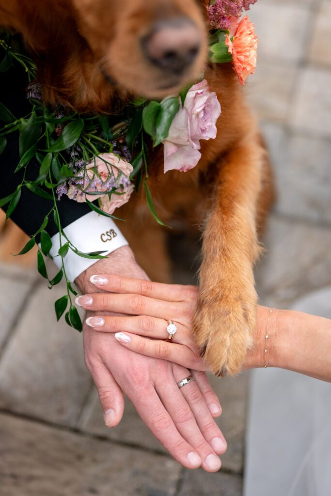 Close-up of the couple’s hands with wedding rings and a dog’s paw resting gently on top, styled with florals during an Up The Creek Farms wedding in Brevard County